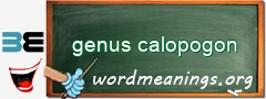 WordMeaning blackboard for genus calopogon